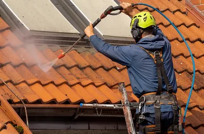 Démoussage et hydrofuge de toiture à Vallica